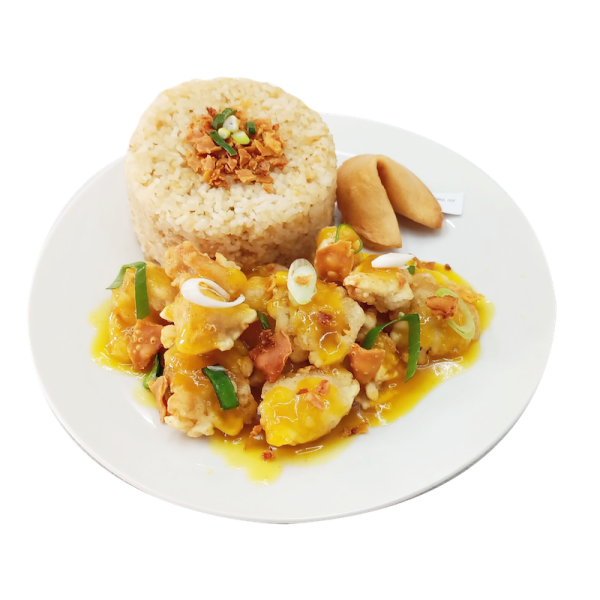 Orange Chicken Rice Meal